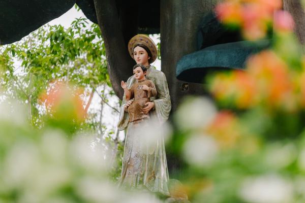 Video Bài Giảng Của ĐHY Filoni Tại La Vang